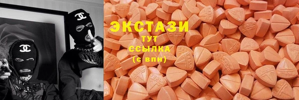 ГАЛЛЮЦИНОГЕННЫЕ ГРИБЫ Гусь-Хрустальный