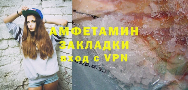 ГАЛЛЮЦИНОГЕННЫЕ ГРИБЫ Гусь-Хрустальный
