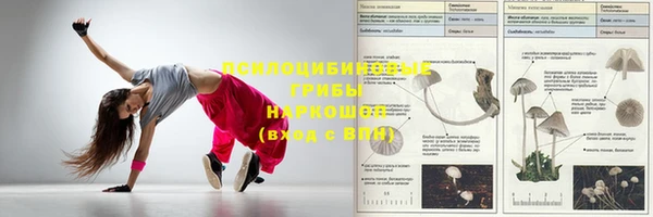 бошки Белокуриха