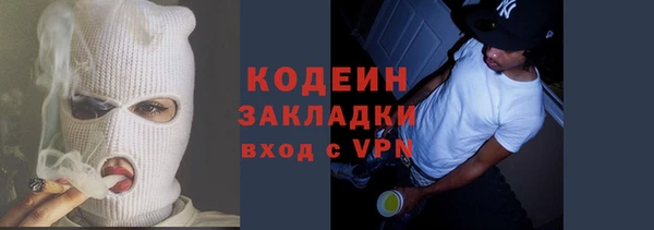 apvp Гусев