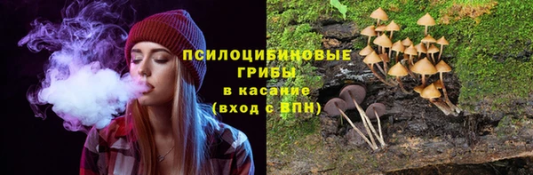 мяу мяу мука Беломорск