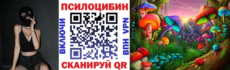 сайты даркнета наркотические препараты  Киселёвск  Псилоцибиновые грибы мицелий  где найти наркотики 
