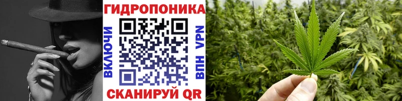 Бошки Шишки семена  Киселёвск 